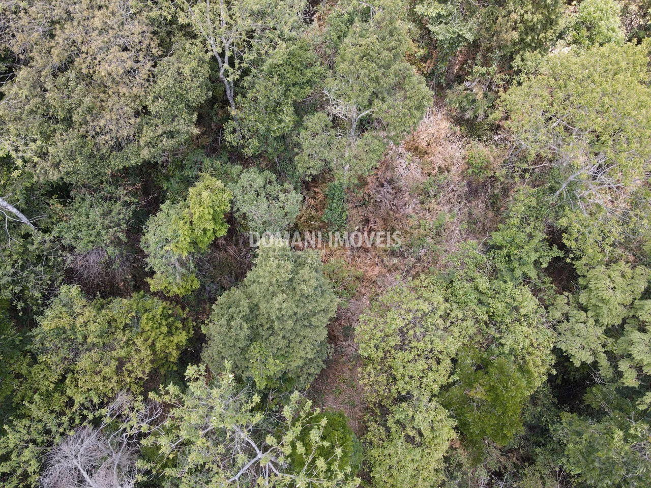 Terreno de 8.900 m² em Campos do Jordão, SP