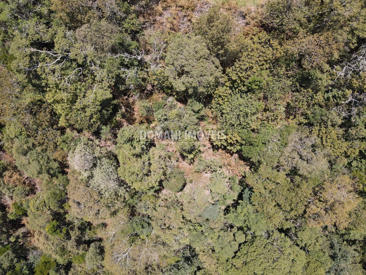 Plot of 2 acres in Campos do Jordão, SP, Brazil