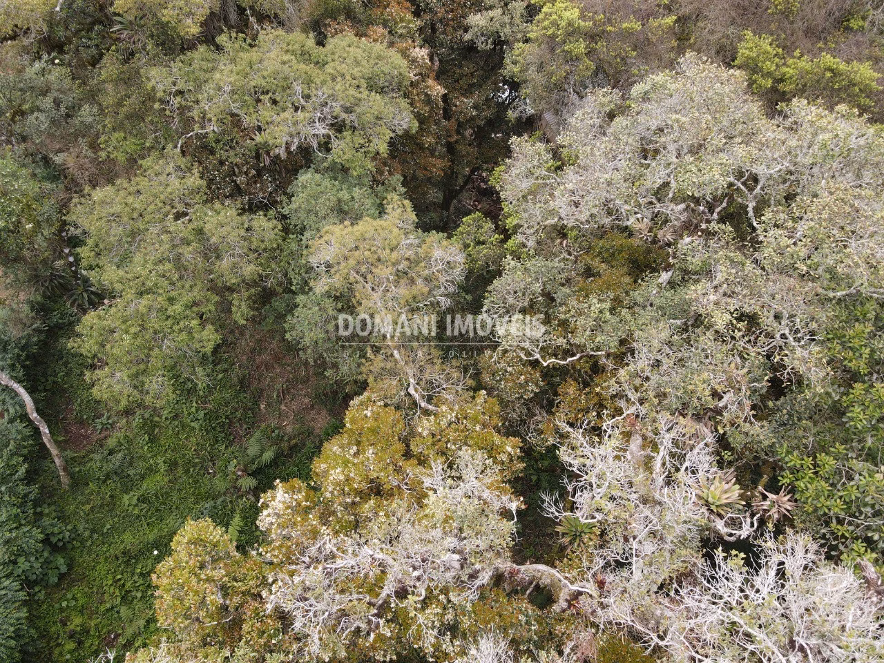 Plot of 2 acres in Campos do Jordão, SP, Brazil