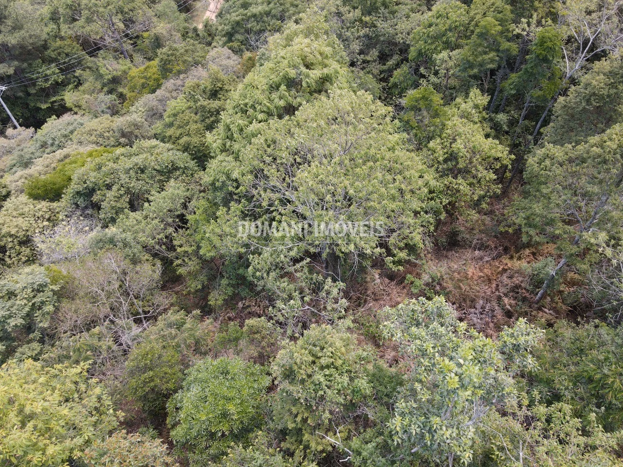 Plot of 2 acres in Campos do Jordão, SP, Brazil