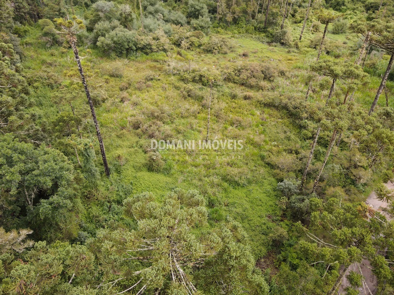 Plot of 5 acres in Campos do Jordão, SP, Brazil