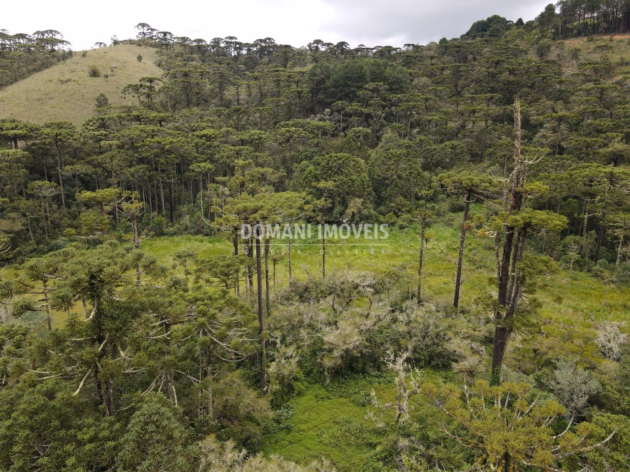 Plot of 5 acres in Campos do Jordão, SP, Brazil