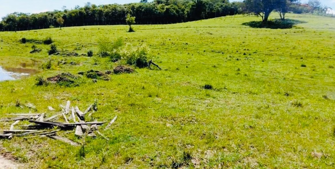 Small farm of 18 acres in Quadra, SP, Brazil