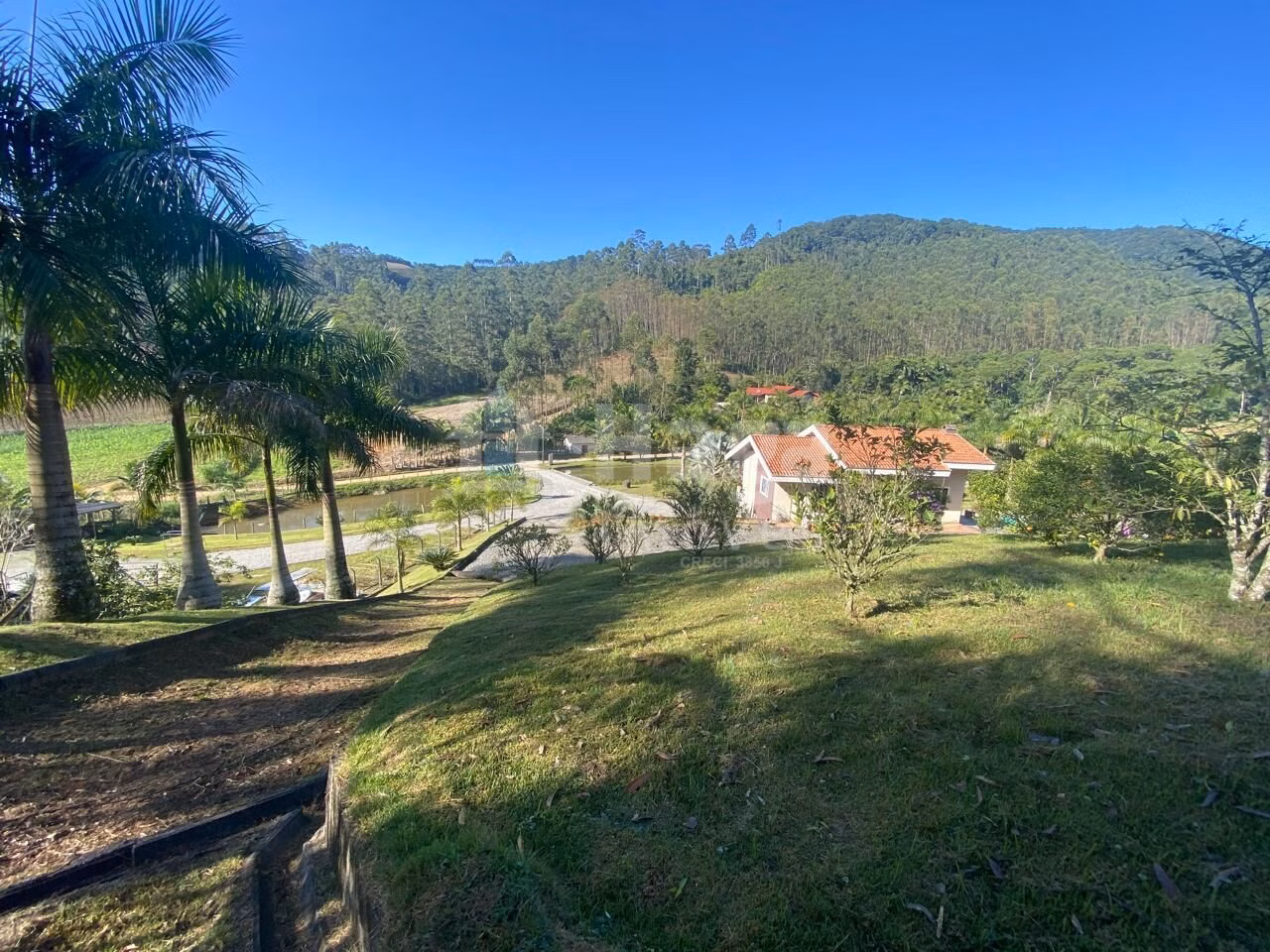 Fazenda de 2 ha em Nova Trento, SC