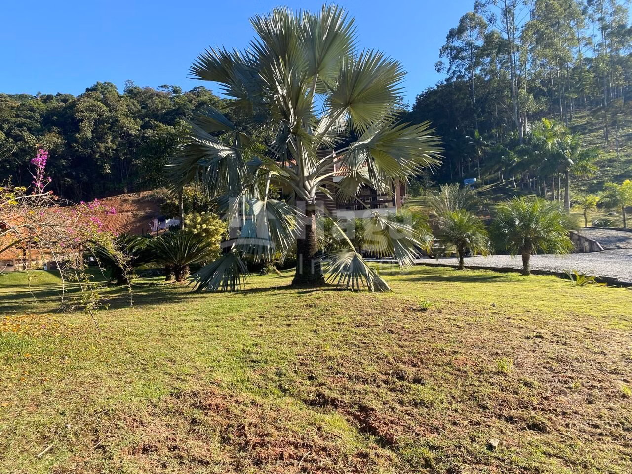 Fazenda de 2 ha em Nova Trento, SC