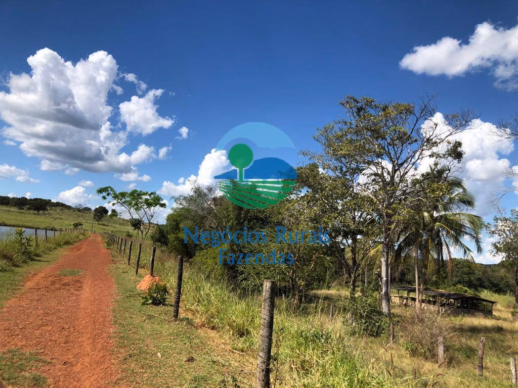 Fazenda de 314 ha em Mara Rosa, GO