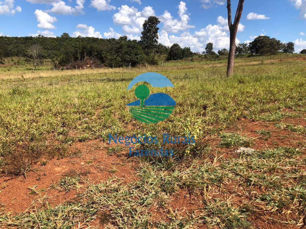 Fazenda de 314 ha em Mara Rosa, GO