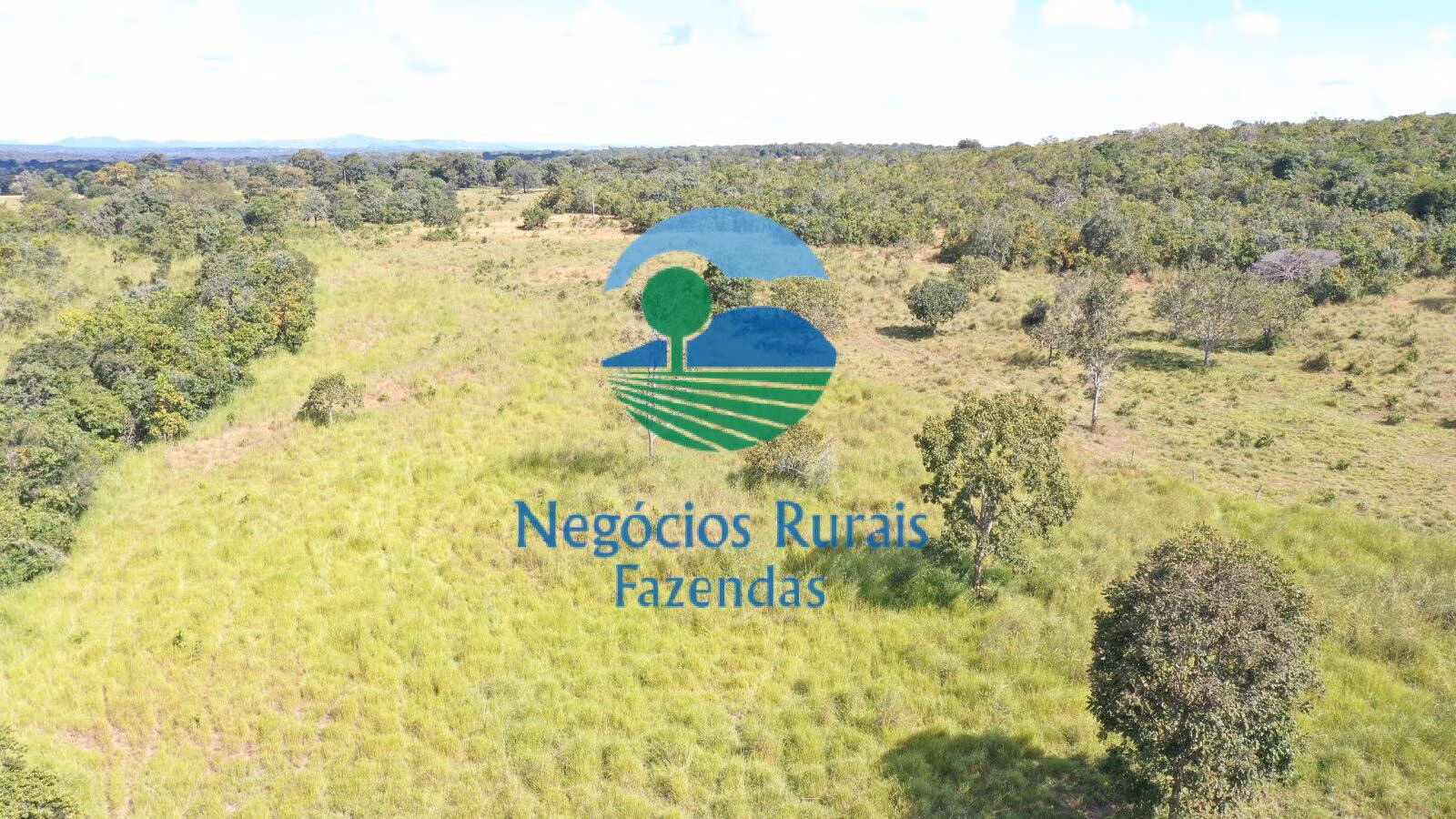 Fazenda de 314 ha em Mara Rosa, GO