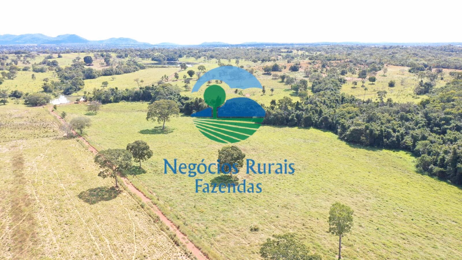 Fazenda de 314 ha em Mara Rosa, GO
