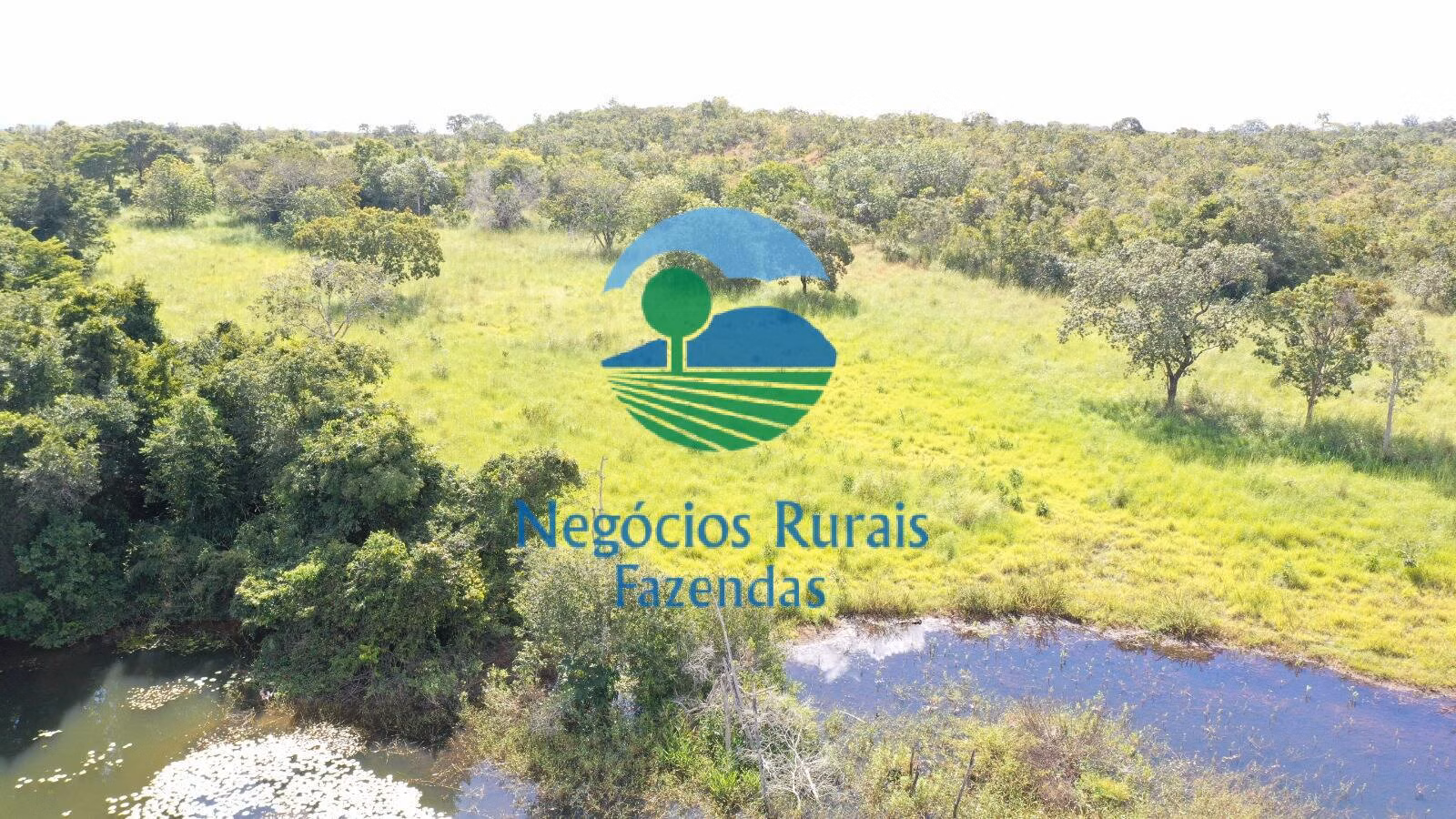 Fazenda de 314 ha em Mara Rosa, GO