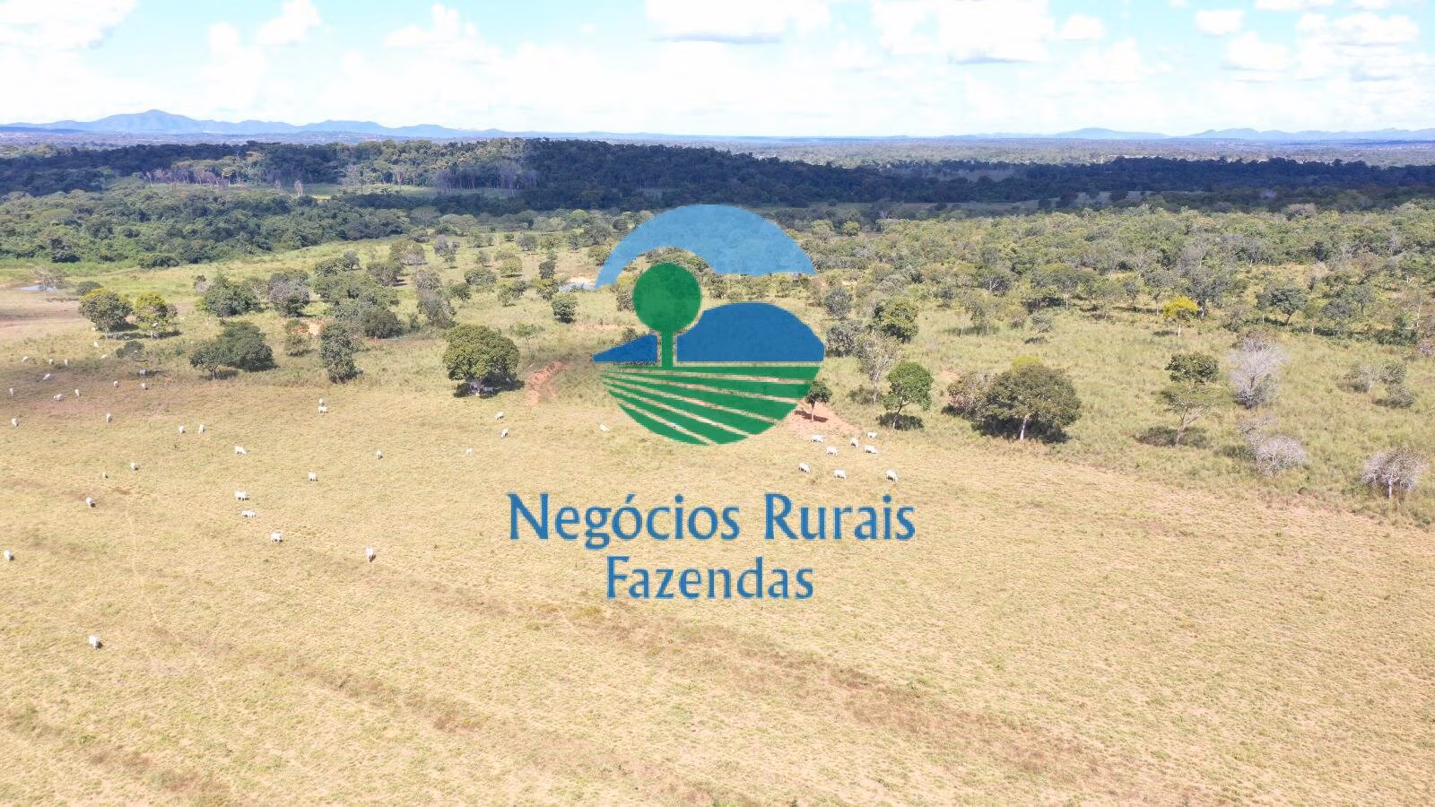 Fazenda de 314 ha em Mara Rosa, GO