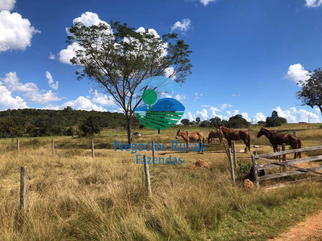Fazenda de 314 ha em Mara Rosa, GO