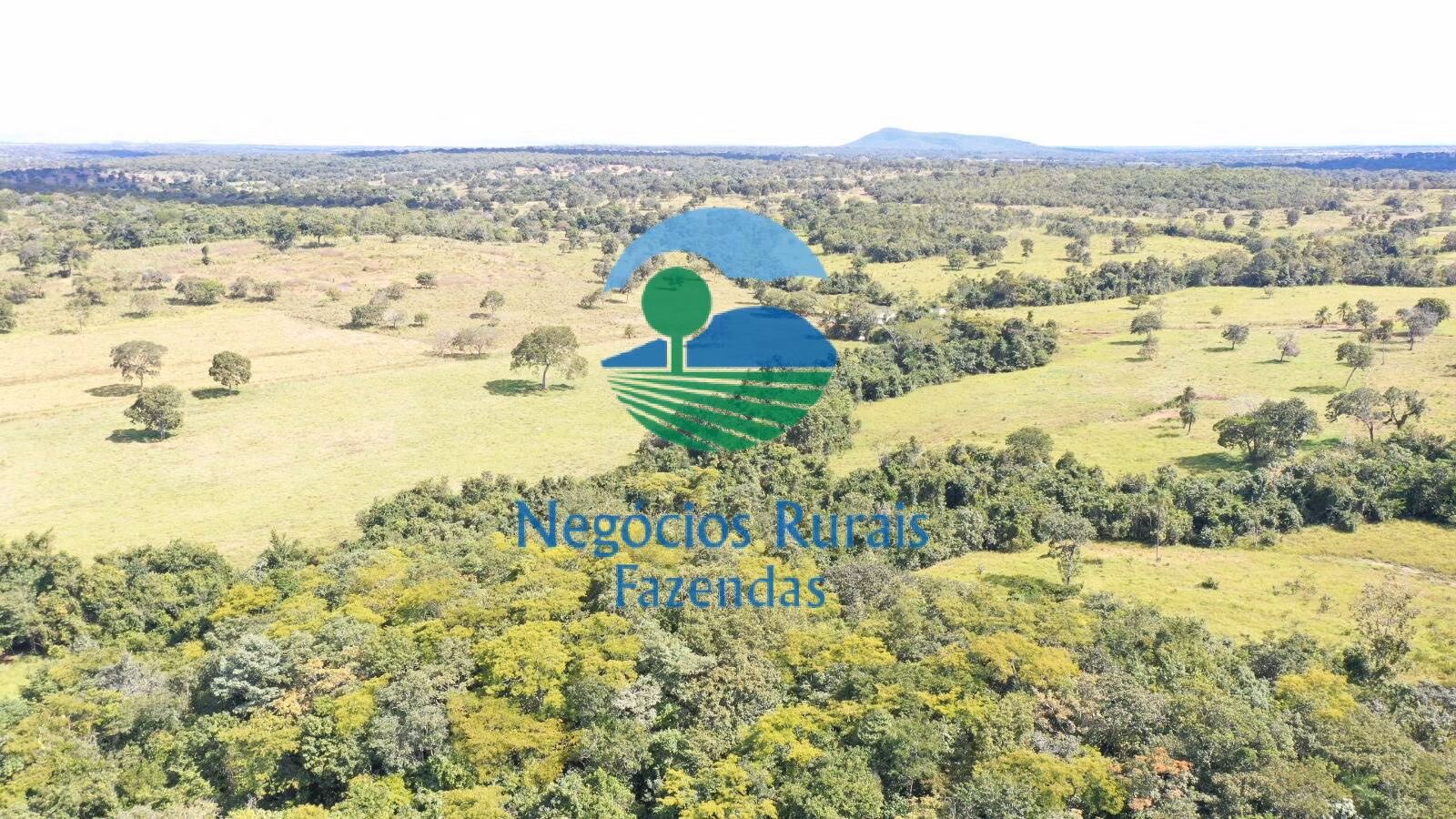 Fazenda de 314 ha em Mara Rosa, GO