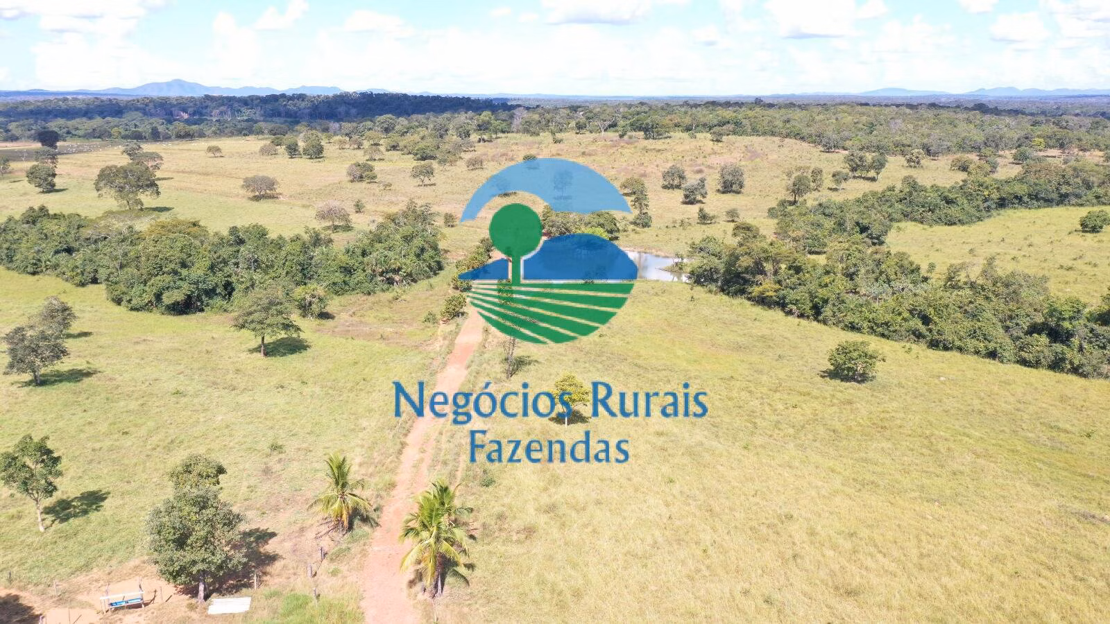Fazenda de 314 ha em Mara Rosa, GO