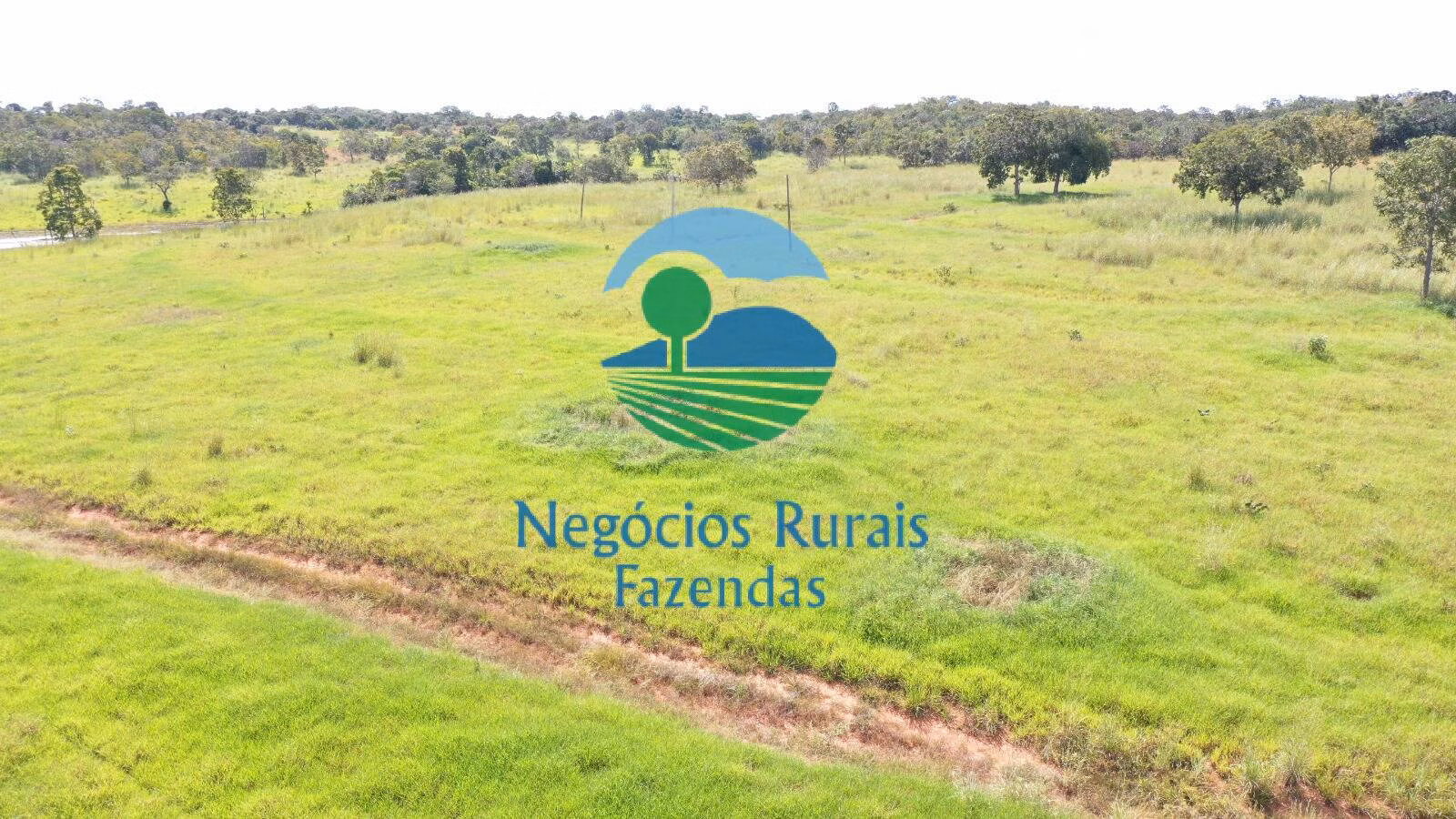 Fazenda de 314 ha em Mara Rosa, GO