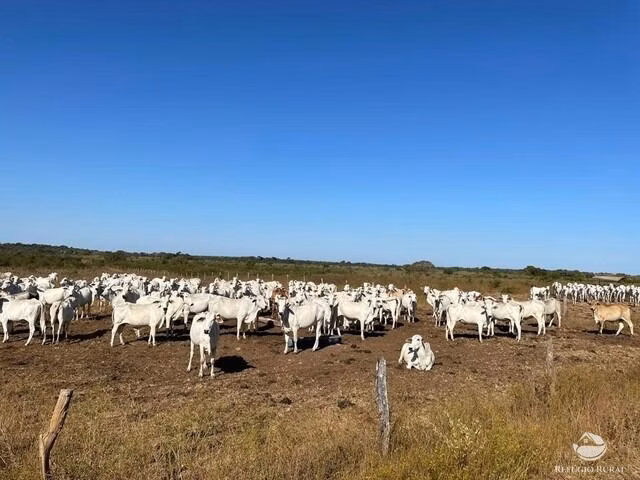 Fazenda de 1.326 ha em Formoso do Araguaia, TO