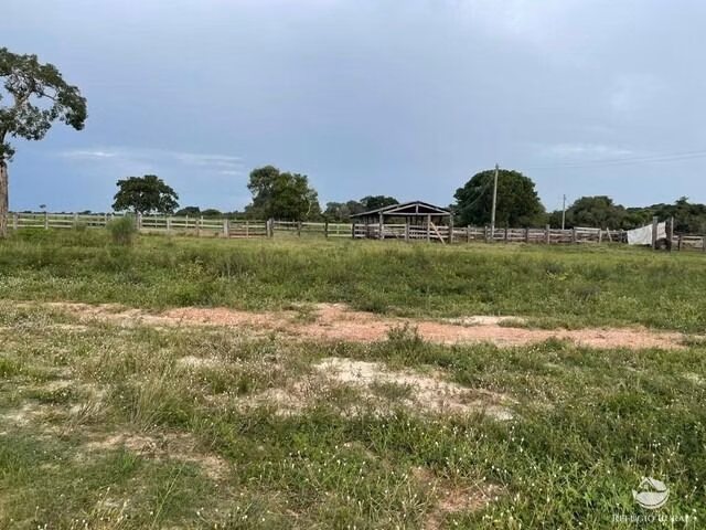 Fazenda de 1.326 ha em Formoso do Araguaia, TO