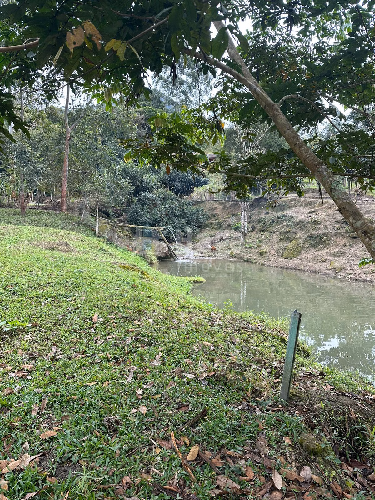 Fazenda de 19 ha em Canelinha, SC