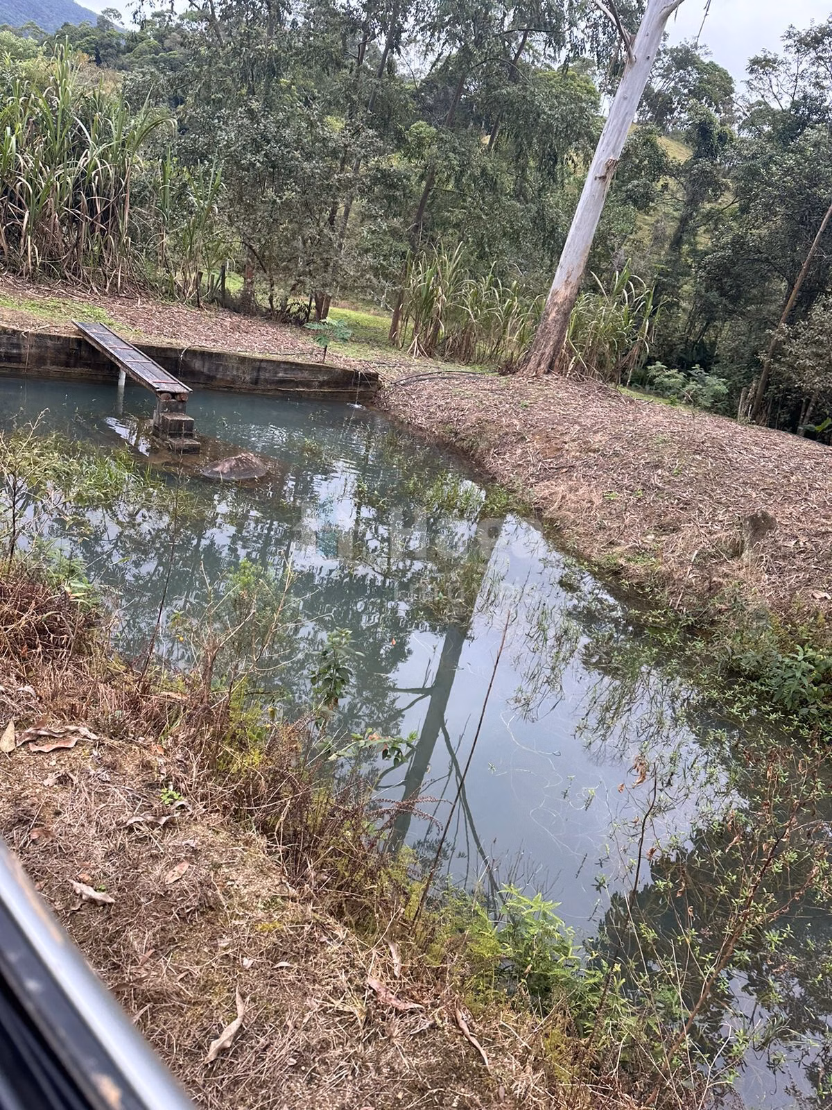 Fazenda de 19 ha em Canelinha, SC
