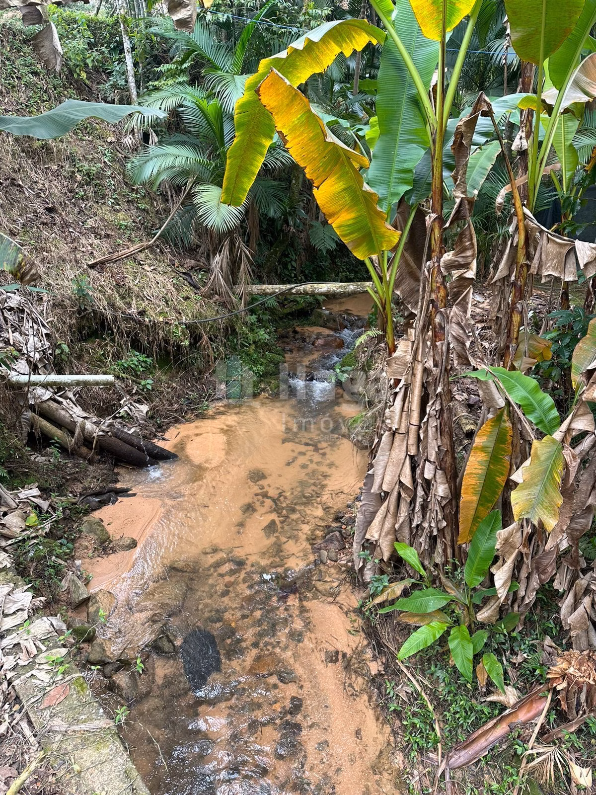 Fazenda de 19 ha em Canelinha, SC