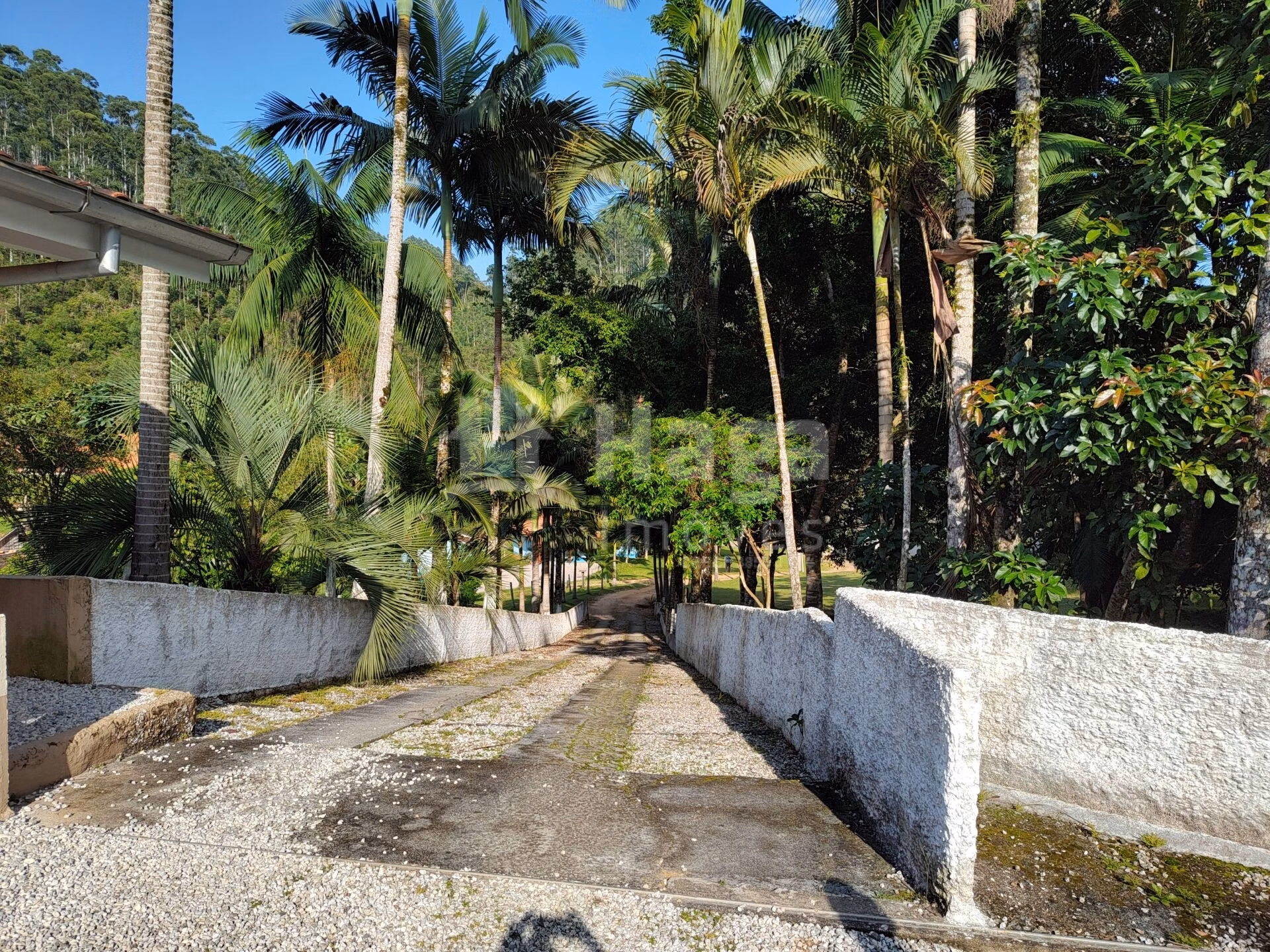 Casa de 8 ha em Brusque, SC