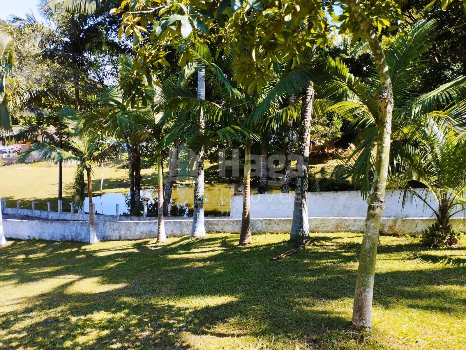 Casa de 8 ha em Brusque, SC