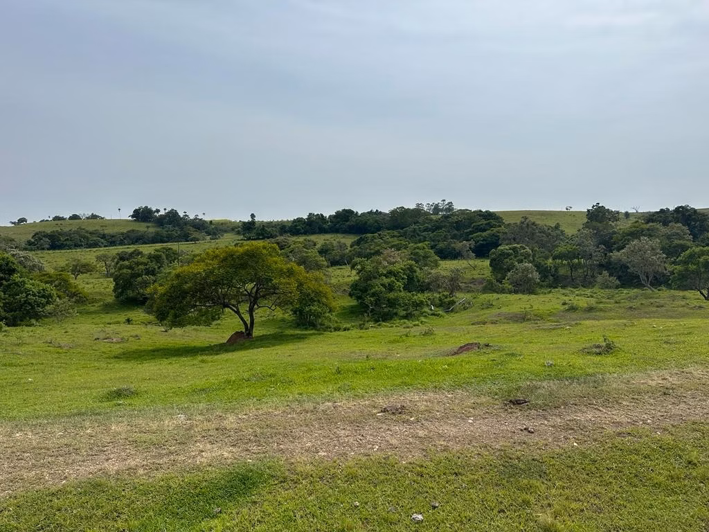 Sítio de 53 ha em Porangaba, SP