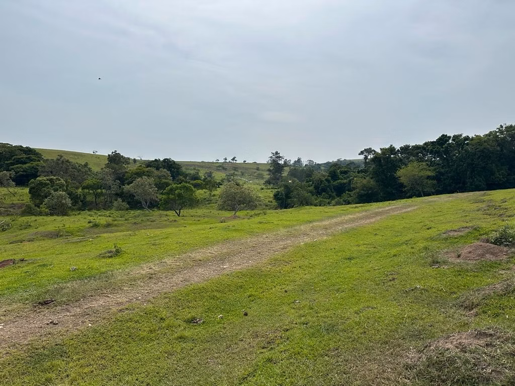 Small farm of 132 acres in Porangaba, SP, Brazil