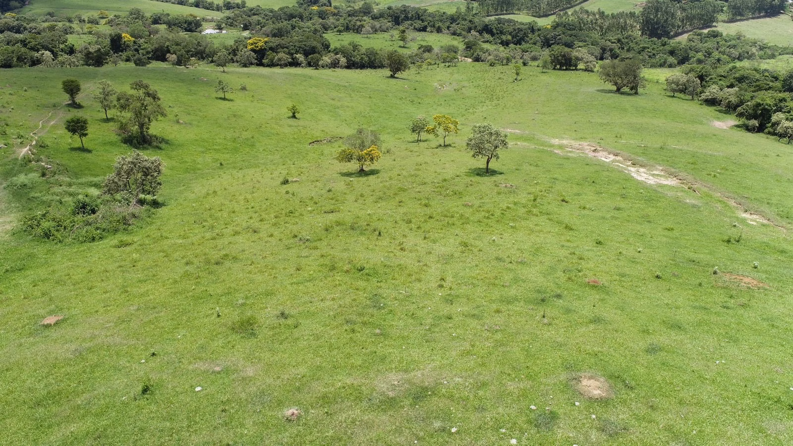 Small farm of 132 acres in Porangaba, SP, Brazil