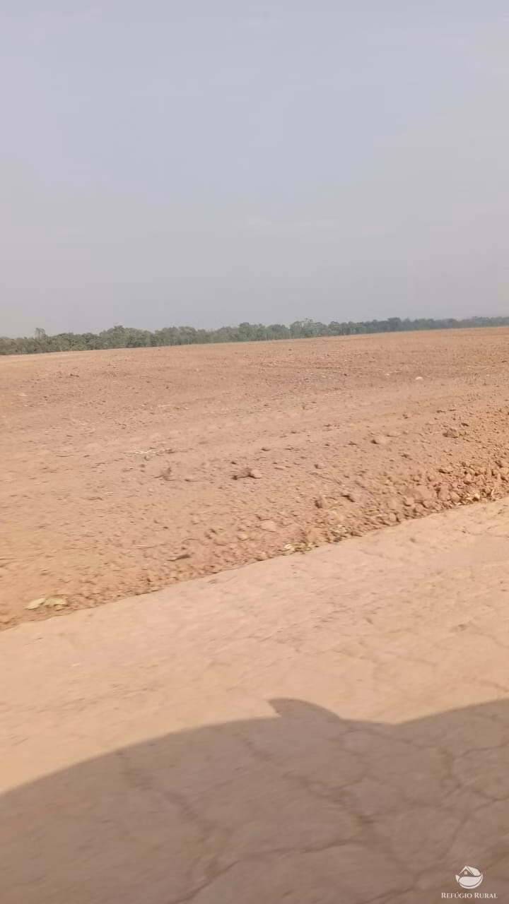 Fazenda de 1.331 ha em Araguaína, TO