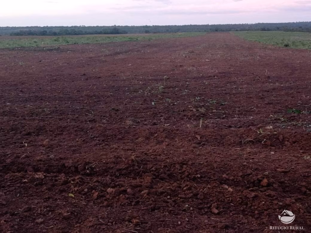 Fazenda de 1.331 ha em Araguaína, TO