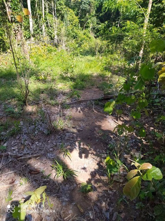 Fazenda de 1.300 ha em Chapada dos Guimarães, MT