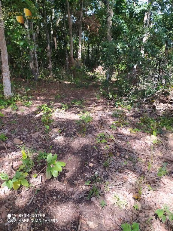 Fazenda de 1.300 ha em Chapada dos Guimarães, MT