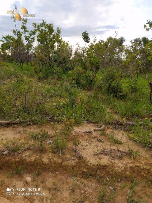 Fazenda de 1.300 ha em Chapada dos Guimarães, MT