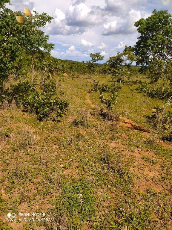 Fazenda de 1.300 ha em Chapada dos Guimarães, MT