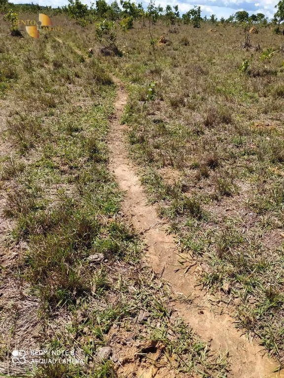 Fazenda de 1.300 ha em Chapada dos Guimarães, MT