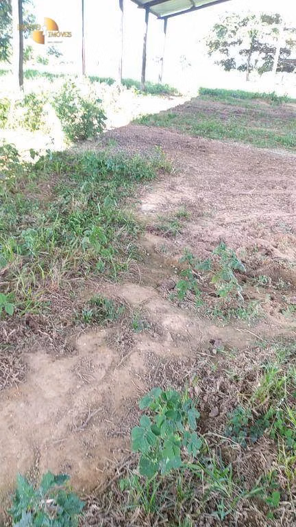 Fazenda de 1.300 ha em Chapada dos Guimarães, MT