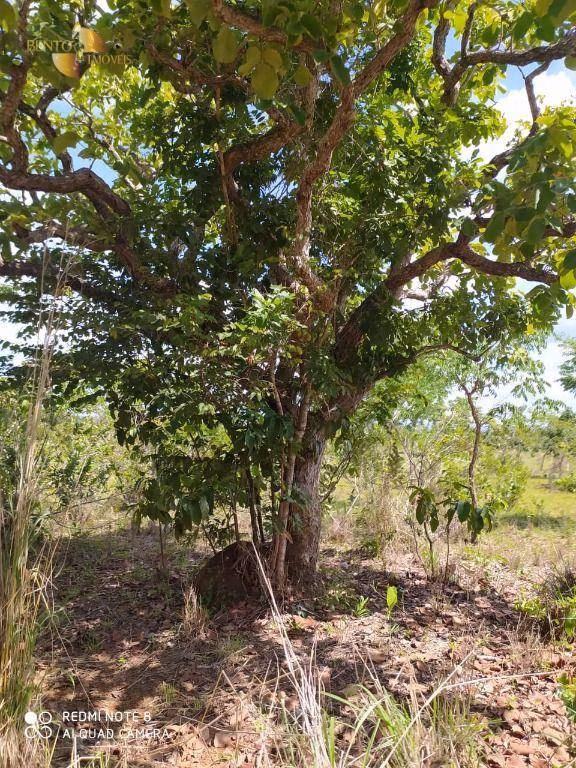 Fazenda de 1.300 ha em Chapada dos Guimarães, MT