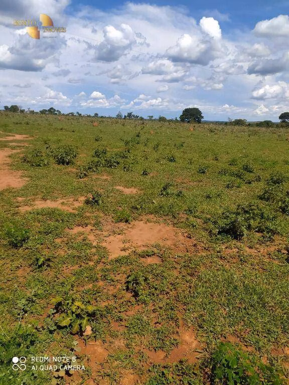 Fazenda de 1.300 ha em Chapada dos Guimarães, MT
