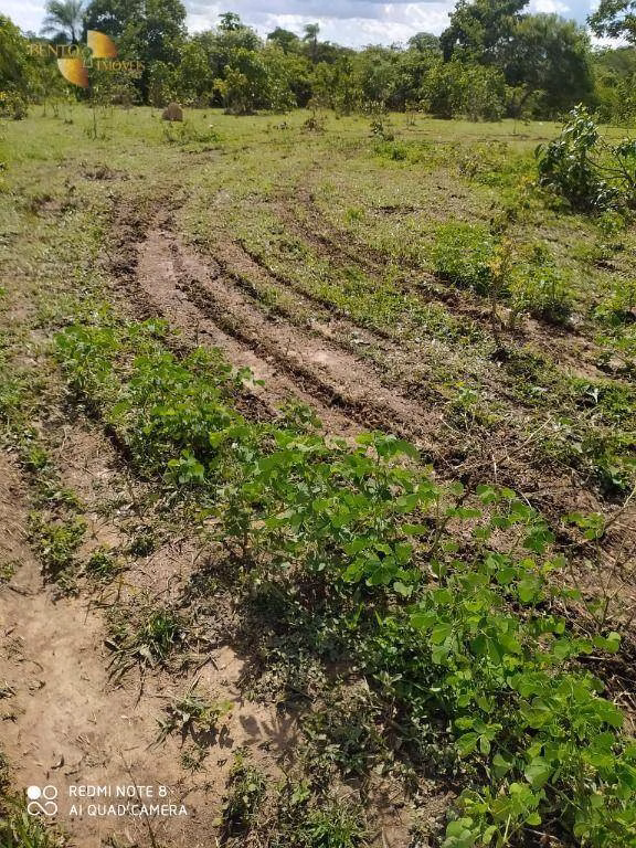 Fazenda de 1.300 ha em Chapada dos Guimarães, MT