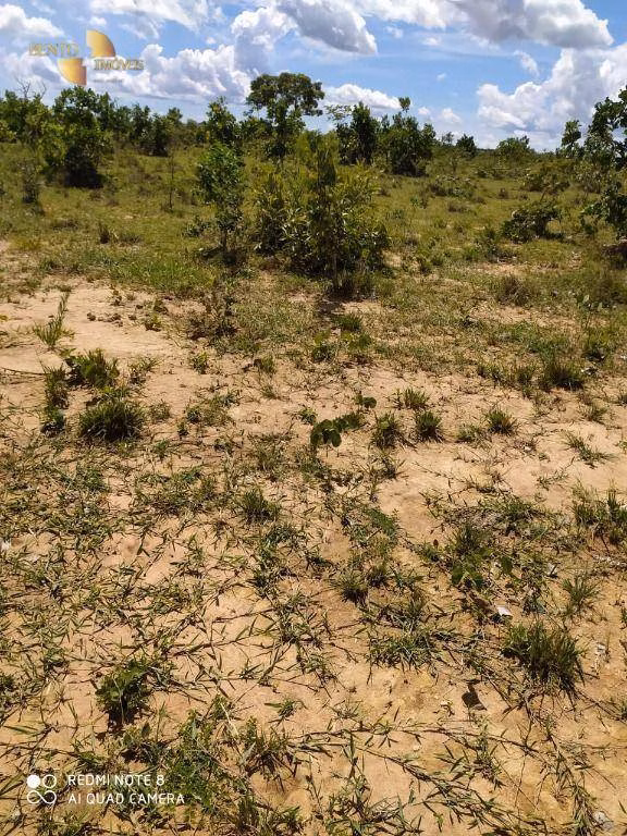 Fazenda de 1.300 ha em Chapada dos Guimarães, MT