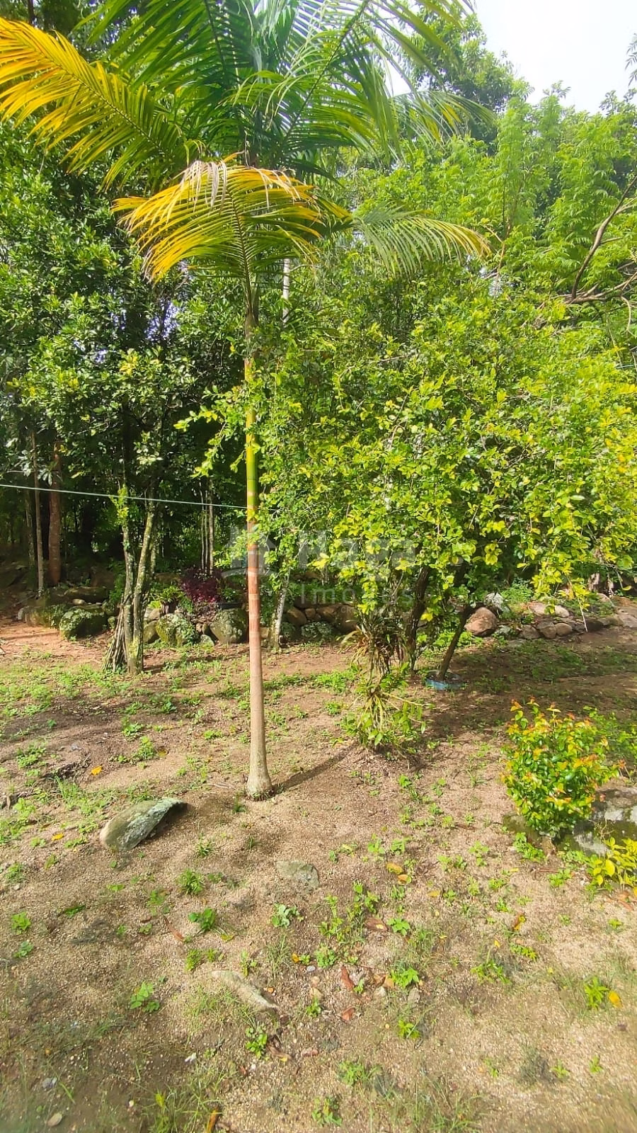 Chácara de 900 m² em São João Batista, SC