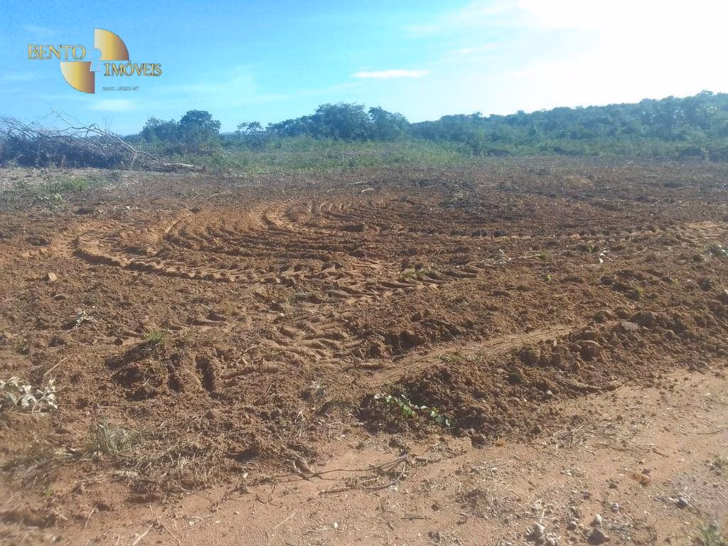 Fazenda de 1.550 ha em Nossa Senhora do Livramento, MT