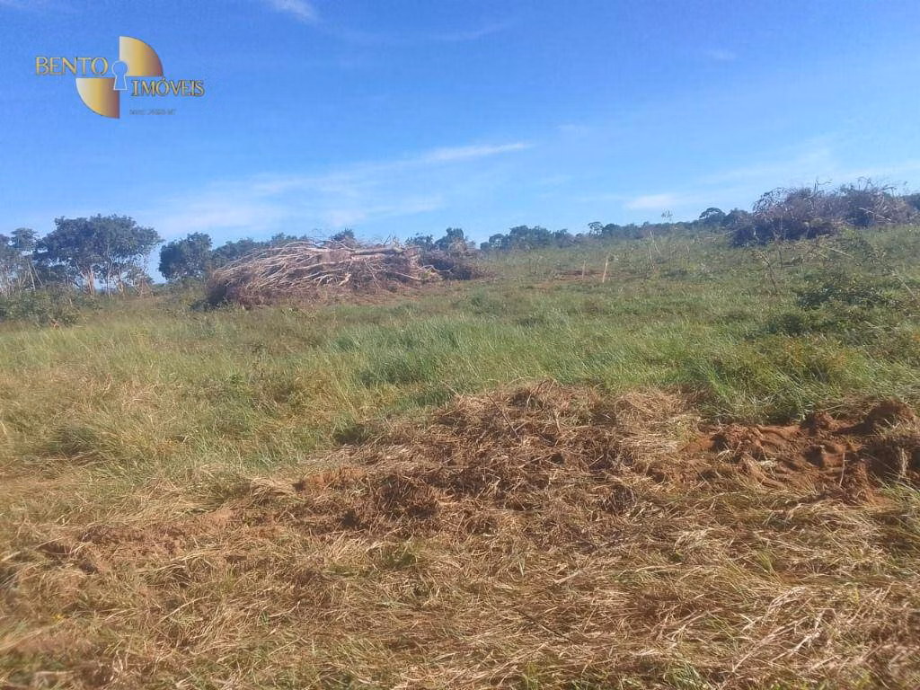 Fazenda de 1.550 ha em Nossa Senhora do Livramento, MT