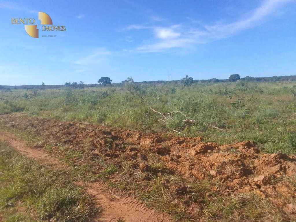 Fazenda de 1.550 ha em Nossa Senhora do Livramento, MT