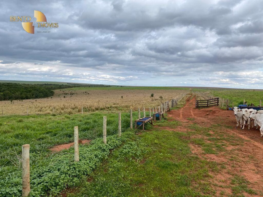 Fazenda de 570 ha em Primavera do Leste, MT