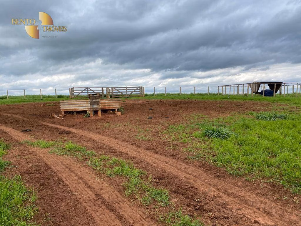 Fazenda de 570 ha em Primavera do Leste, MT