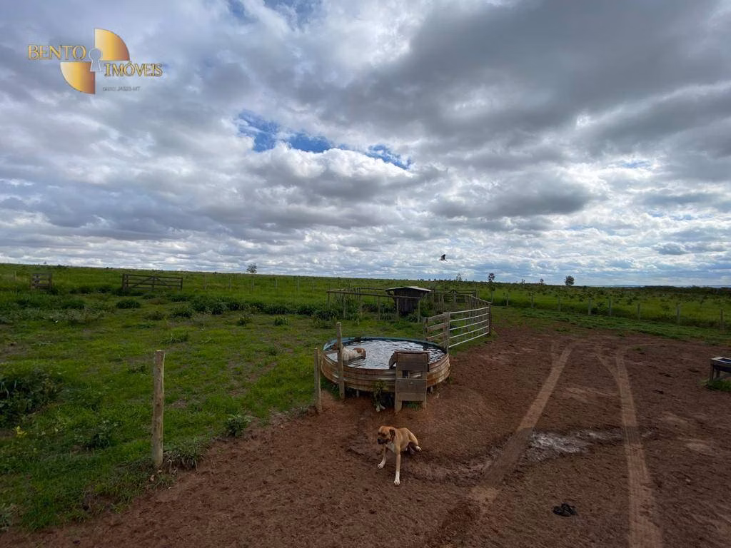 Fazenda de 570 ha em Primavera do Leste, MT