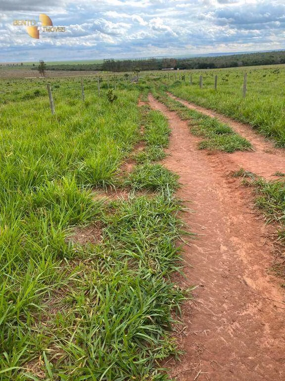 Fazenda de 570 ha em Primavera do Leste, MT