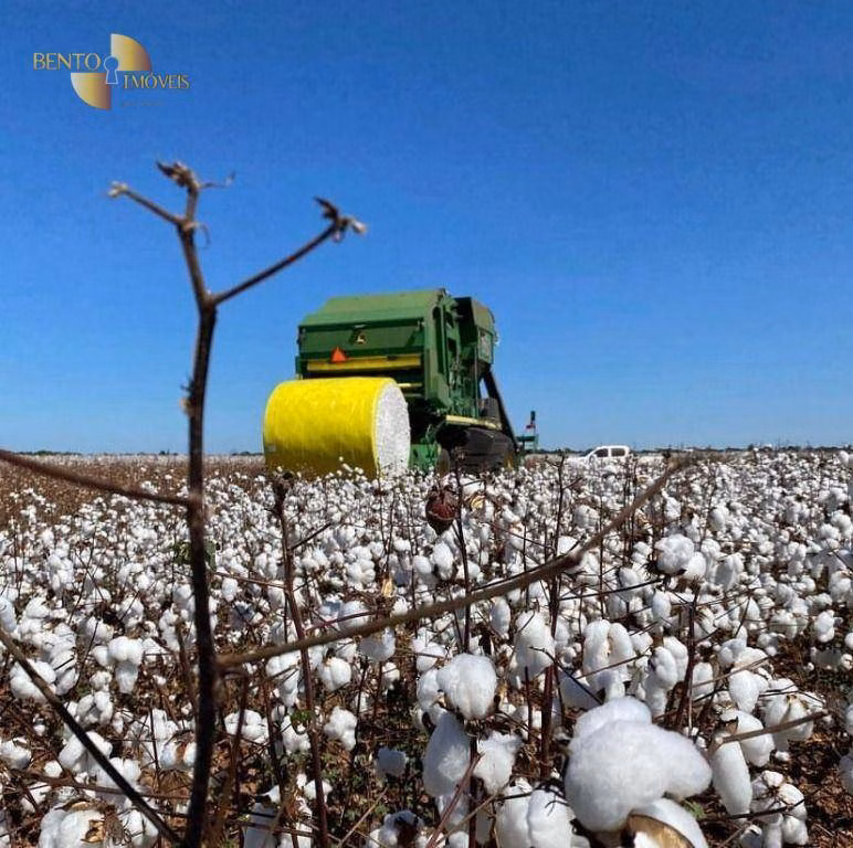 Fazenda de 5.468 ha em Nova Maringá, MT